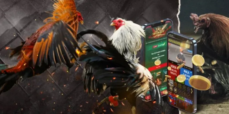 Bí Quyết Chinh Phục Cách Chơi Đá Gà GA28 Tại MU88 Siêu Hấp Dẫn 2 Bí Quyết Chinh Phục Cách Chơi Đá Gà GA28 Tại MU88 Siêu Hấp Dẫn