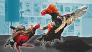 Hướng Dẫn Chi Tiết Cách Chơi Đá Gà Sabong Tại MU88 Cho Người Mới 3 Hướng Dẫn Chi Tiết Cách Chơi Đá Gà Sabong Tại MU88 Cho Người Mới