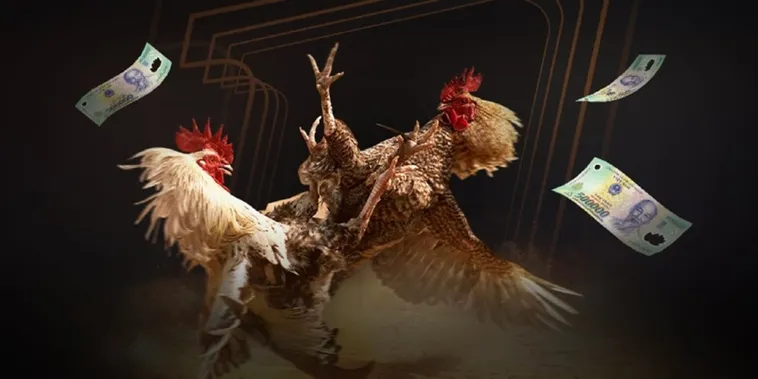 Khám Phá Đá Gà MU88 Trải Nghiệm Cá Cược Nóng Bỏng